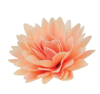 18293 - Astra maxi tieňovaná pudrová 12,5cm 