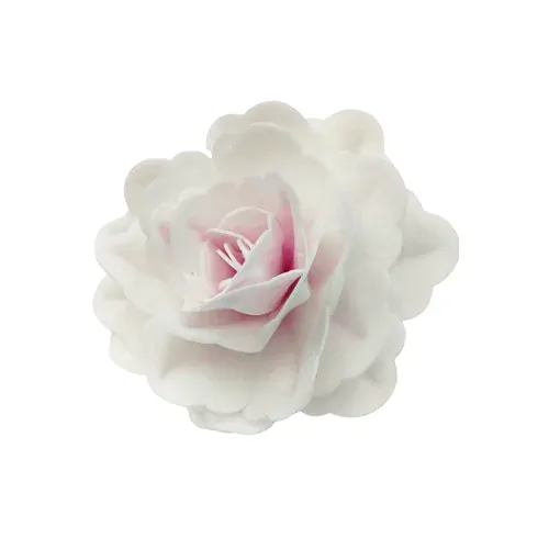 18101 - Ruža čínska tieňovaná ružová 12,5cm