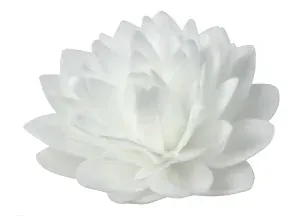 18300 - Dália biela 12,5cm 