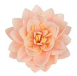 18311 - Lotosový kvet mix farieb (15ks v balení)