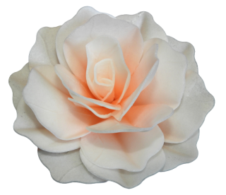 18374 - Ruža pastella - tieňovaná lososová 12,5cm 